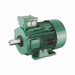 Hindustan Motor 0.55KW 0.75HP 1500RPM Flange  Mounted IE3 Frame80 Hindustan
