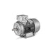 Bonvario Motor 4KW 5.5HP 1500RPM Foot Mounted IE2 Frame100L Bonvario